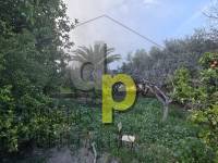 Venta - Casa de campo - Torrellano - Torrellano Alto