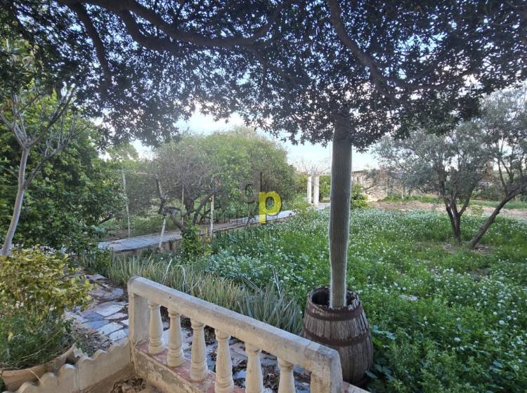 Venta - Casa de campo - Torrellano - Torrellano Alto