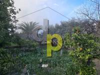 Venta - Casa de campo - Torrellano - Torrellano Alto