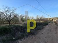 seasonal rental - Rustic Finca - Altet - Aeropuerto