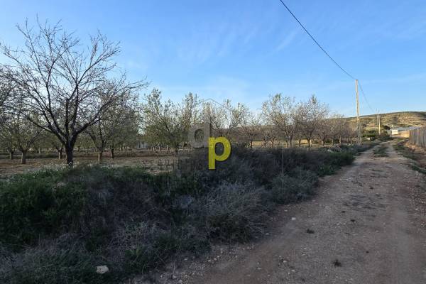 Rustic Finca - seasonal rental - Altet - Aeropuerto