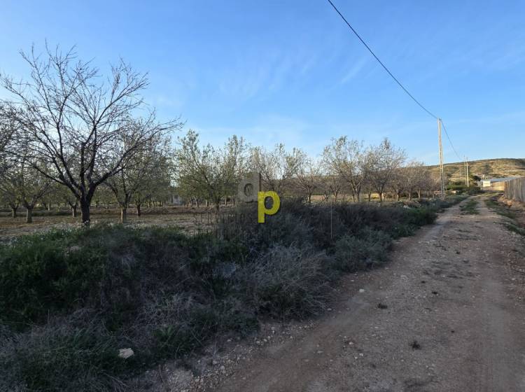 seasonal rental - Rustic Finca - Altet - Aeropuerto