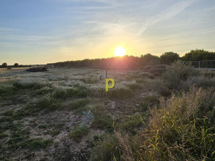 seasonal rental - Rustic Finca - Altet - Aeropuerto