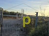 seasonal rental - Rustic Finca - Altet - Aeropuerto