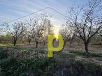 seasonal rental - Rustic Finca - Altet - Aeropuerto