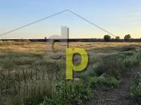 seasonal rental - Rustic Finca - Altet - Aeropuerto