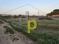 seasonal rental - Rustic Finca - Altet - Aeropuerto