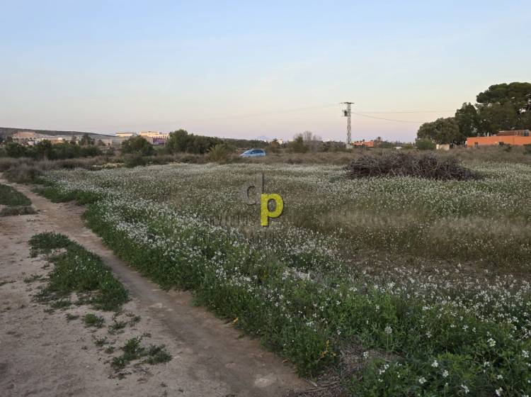 seasonal rental - Rustic Finca - Altet - Aeropuerto