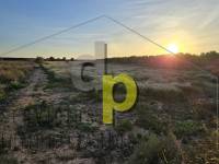 seasonal rental - Rustic Finca - Altet - Aeropuerto