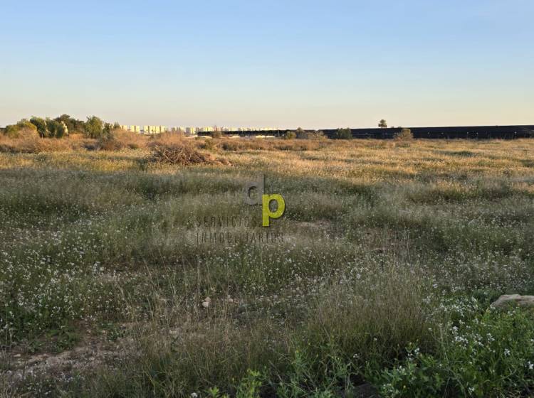 seasonal rental - Rustic Finca - Altet - Aeropuerto