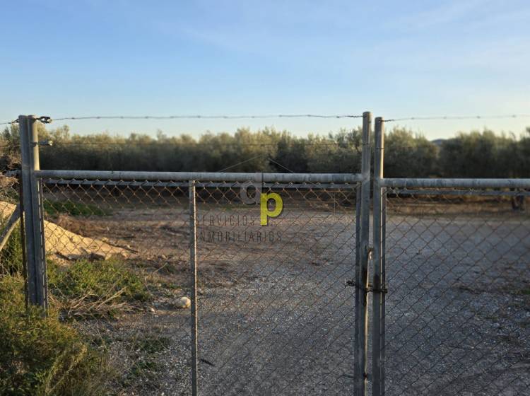 seasonal rental - Rustic Finca - Altet - Aeropuerto