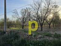 seasonal rental - Rustic Finca - Altet - Aeropuerto