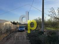 seasonal rental - Rustic Finca - Altet - Aeropuerto