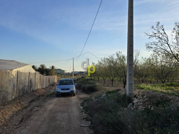 seasonal rental - Rustic Finca - Altet - Aeropuerto