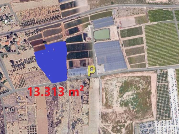 seasonal rental - Rustic Finca - Altet - Aeropuerto