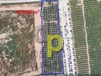 seasonal rental - Rustic Finca - Altet - Aeropuerto