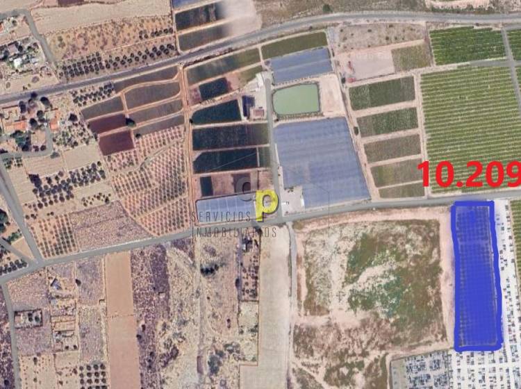 seasonal rental - Rustic Finca - Altet - Aeropuerto