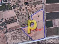 seasonal rental - Rustic Finca - Altet - Aeropuerto