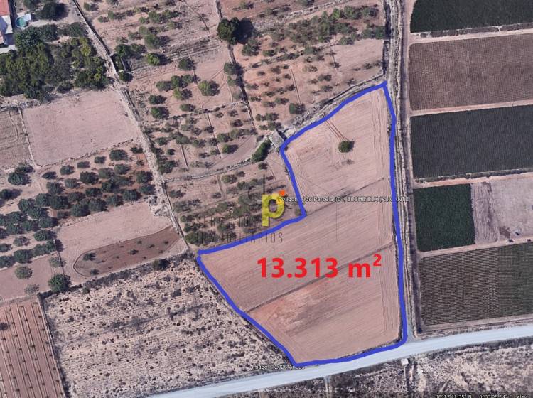 seasonal rental - Rustic Finca - Altet - Aeropuerto