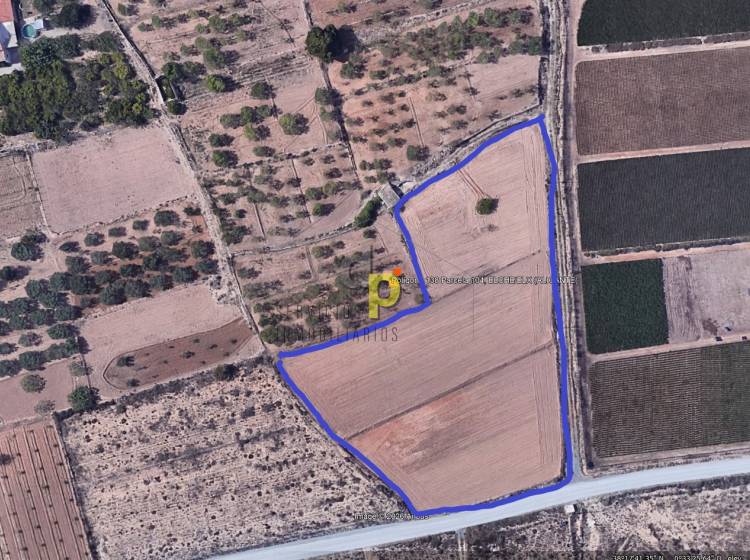 seasonal rental - Rustic Finca - Altet - Aeropuerto