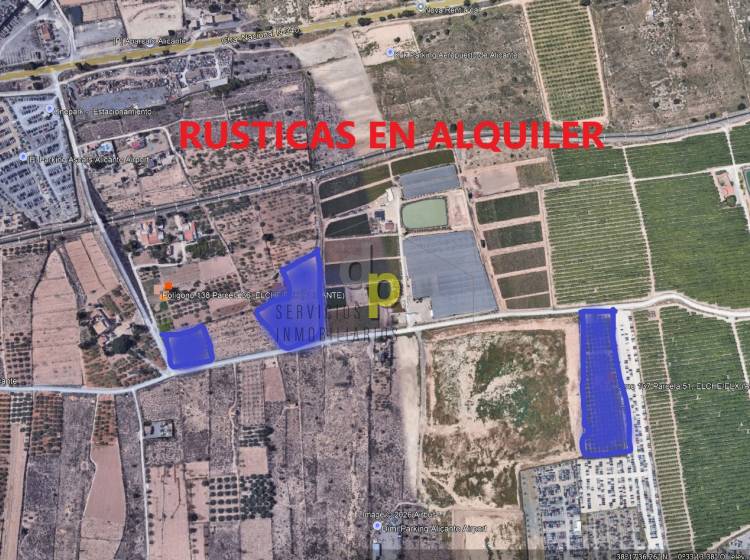 seasonal rental - Rustic Finca - Altet - Aeropuerto