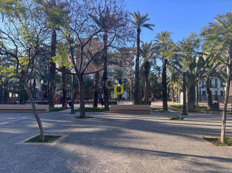 Sale - Apartment / Flat - Elche - Center