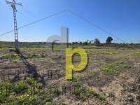 Alquiler larga temporada - Parcela / Terreno - Torrellano - Torrellano Bajo