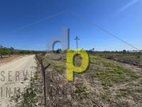 Alquiler larga temporada - Parcela / Terreno - Torrellano - Torrellano Bajo