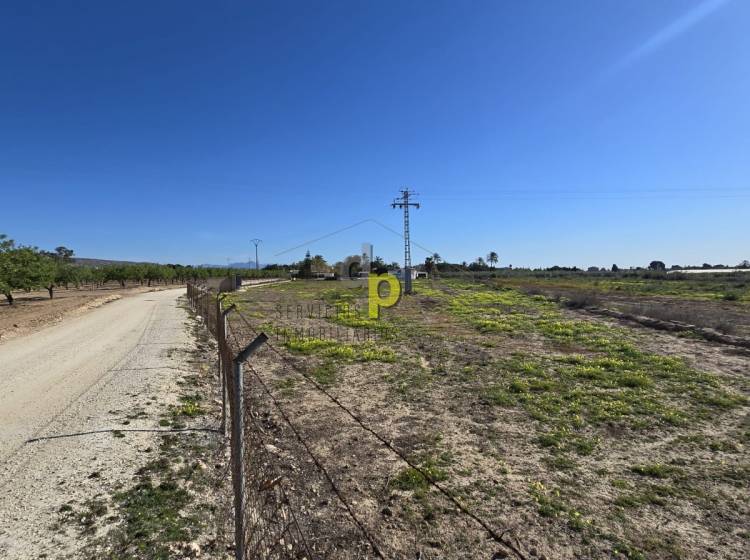 Alquiler larga temporada - Parcela / Terreno - Torrellano - Torrellano Bajo