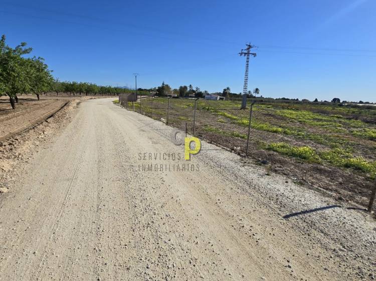 Alquiler larga temporada - Parcela / Terreno - Torrellano - Torrellano Bajo