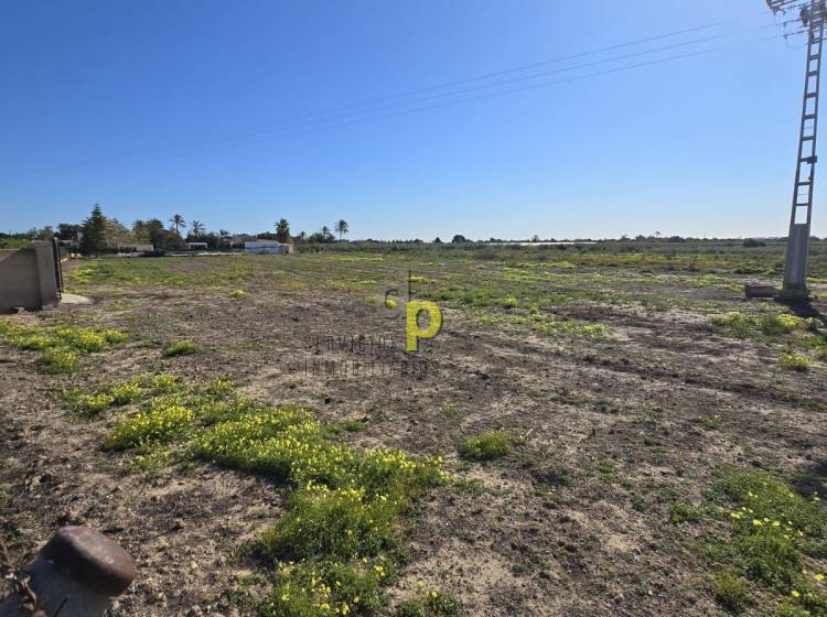 Alquiler larga temporada - Parcela / Terreno - Torrellano - Torrellano Bajo