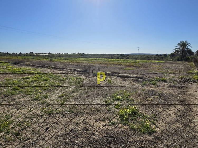 Alquiler larga temporada - Parcela / Terreno - Torrellano - Torrellano Bajo