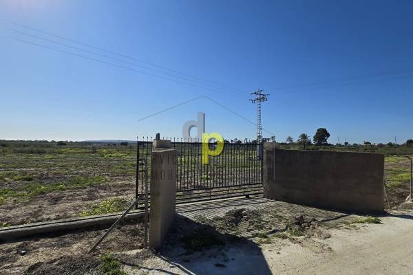 Parcela / Terreno - Alquiler larga temporada - Torrellano - Torrellano Bajo