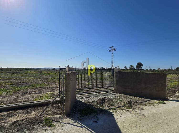 Alquiler larga temporada - Parcela / Terreno - Torrellano - Torrellano Bajo