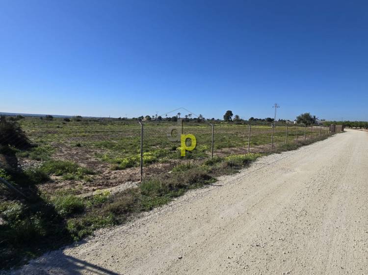 Alquiler larga temporada - Parcela / Terreno - Torrellano - Torrellano Bajo