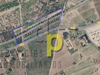 Alquiler larga temporada - Finca Rústica - Torrellano