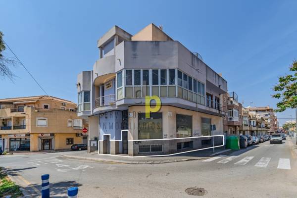 Local  -  - Torrevieja - Torrevieja
