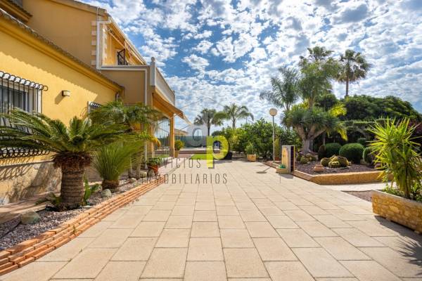 Chalet - Venta - Elche Pedanías - La Hoya