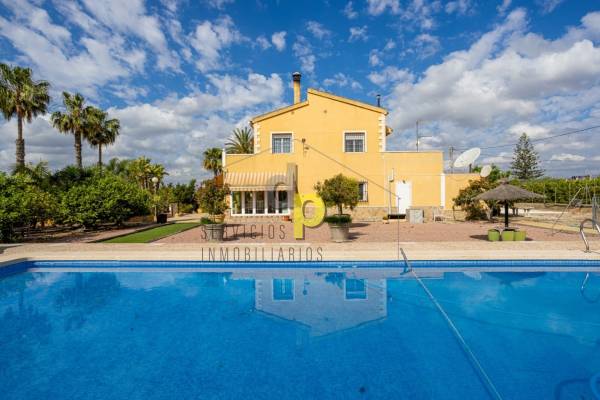 Chalet - Venta - Elche Pedanías - La Hoya