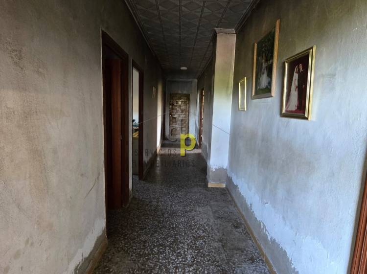  - Casa - Elche Pedanías - Daimés