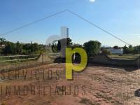  - Casa - Elche Pedanías - Daimés