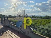  - Casa - Elche Pedanías - Daimés