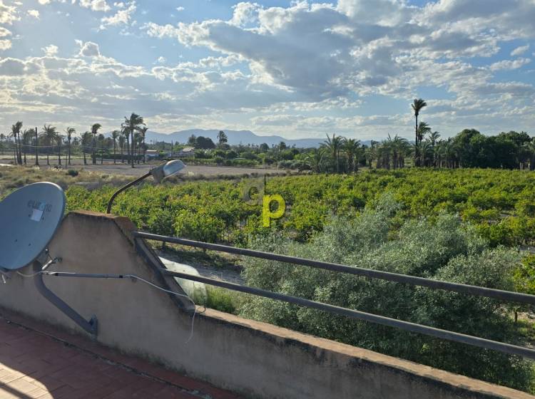  - Casa - Elche Pedanías - Daimés