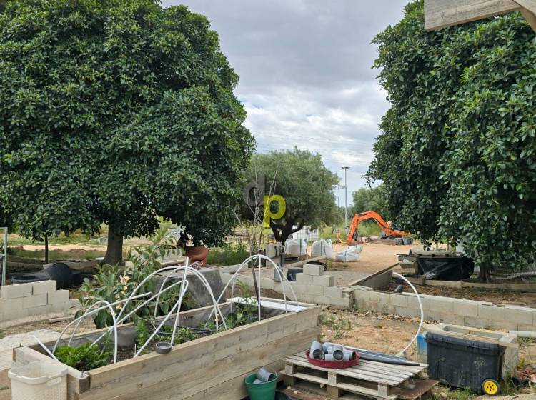 Venta - Casa de campo - Elche Pedanías - Saladas