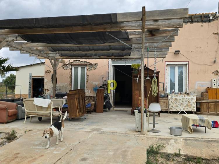 Venta - Casa de campo - Elche Pedanías - Saladas