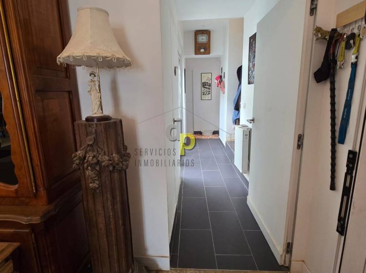 Venta - Casa de campo - Elche Pedanías - Saladas