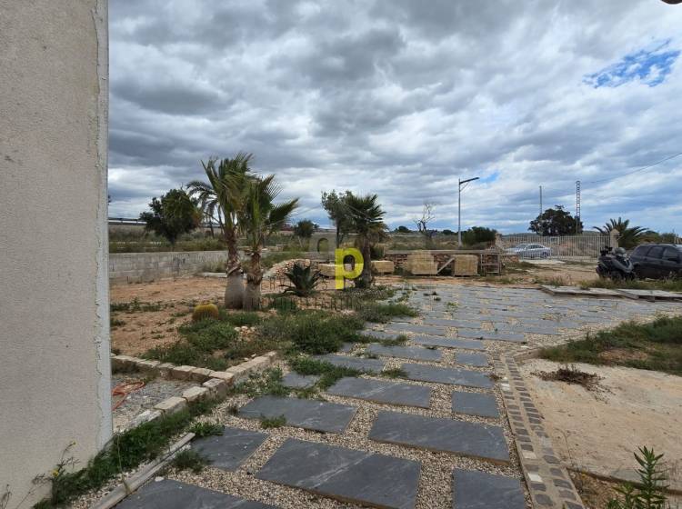 Venta - Casa de campo - Elche Pedanías - Saladas
