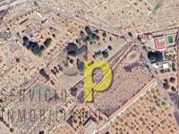 Venta - Casa de campo - Elche Pedanías - Saladas