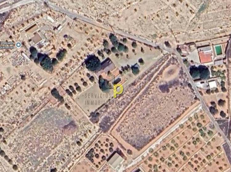 Venta - Casa de campo - Elche Pedanías - Saladas