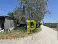 Venta - Casa de campo - Elche Pedanías - Daimés